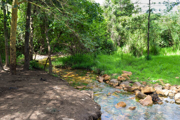 River in the forest in rural Kenya