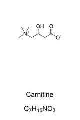 Carnitine chemical formula and skeletal structure. Compound, involved in metabolism in most mammals, plants, and some bacteria in support of energy metabolism. Illustration on white background. Vector