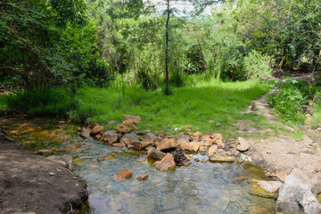 River in the forest in rural Kenya