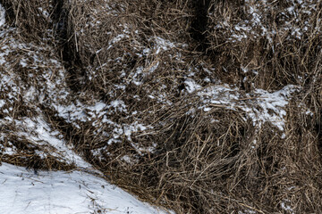 Rural background of a haystack covered with snow close-up. Preparation of animal feed for the winter.