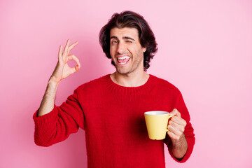 Portrait of nice glad flirty cheerful guy drinking tea showing ok-sign winking isolated over pink...
