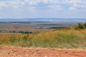 Naklejka premium Scenic view of the savannah grassland landscapes in Tsavo National Park, Kenya