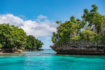 Poster Tropische baai op het gebied van de eilanden hertog van york in Papoea-Nieuw-Guinea. © Ron van der Stappen
