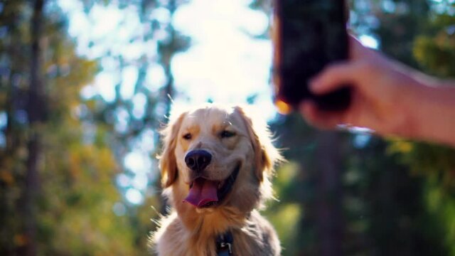A handsome boy poses for a picture with amazing depth of field in the video.