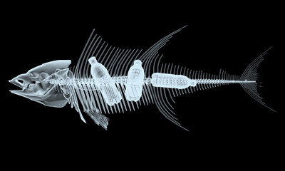 fish x-ray skeletons with plastic bottles inside on it