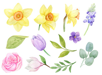 watercolor set with spring flowers