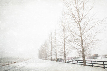 Original textured winter scene photograph looking down a snow covered country road lined by a wood fence and barren trees
