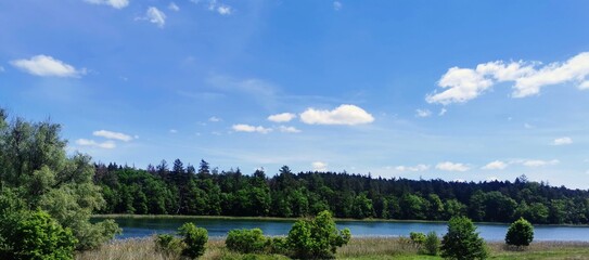 Fototapeta premium lake in the forest