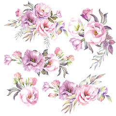 set of pink flowers.watercolor