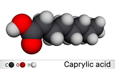 Caprylic acid , octanoic acid  molecule. It is straight-chain saturated fatty and carboxylic acid. Salts are known as octanoates or caprylates. Molecular model. 3D rendering