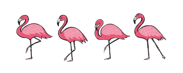 Roze flamingo& 39 s, met de hand getekende stijl, vectorillustraties.