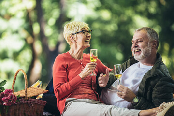 Happy senior couple having a picnic in park, making a toast.