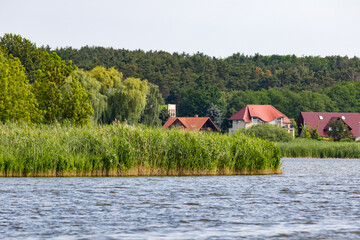 See mit Schilf im Sommer