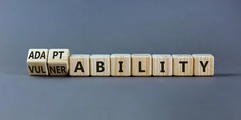 Foto op Canvas Vulnerability or adaptability symbol. Turned wooden cubes and changed words 'vulnerability' to 'adaptability'. Grey background, copy space. Business, vulnerability or adaptability concept. © Dzmitry