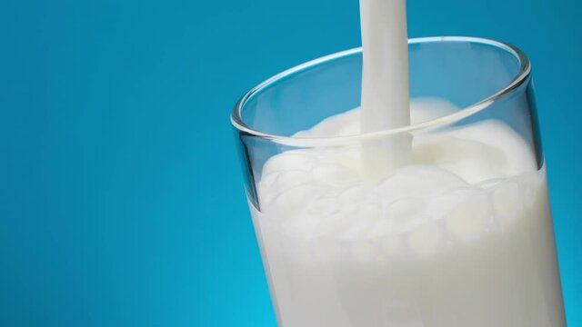 Splash of Pouring milk in glass against blue background, slow motion of flowing cream stream, slow motion	
