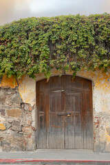 Naklejka premium wooden door in colonial type house with flowers on the roof close up