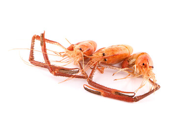 Prawns, Grilled river shrimp or Thai shrimp isolated on white background