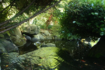 fountain in garden