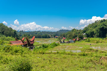 Tana Toraja is centrally placed in the island of Sulawesi. the Torajan economy was based on agriculture, with cultivated wet rice in terraced fields on mountain slopes, and cassava and maize crops