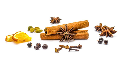 Dry star anise plants on a white background.