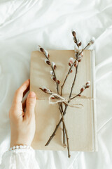 Spring is coming. Reading concept with vintage books on white background with pussy willow twig....