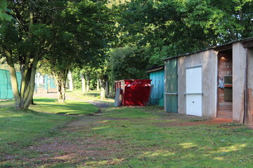 Fototapete bei efototapeten.de bestellen   