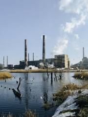 Fototapeta na wymiar Chemical plant chimneys emit white smoke into the atmosphere against a blue sky. Reeds near the poison swamp, sump, dry trees and seagulls. Environmental pollution concept in third world countries.