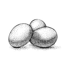 three eggs vintage engraving. black ink isolated