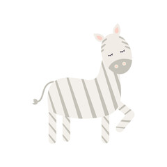 cute zebra on a white background