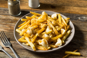 Homemade Unhealthy Canadian Poutine French Fries