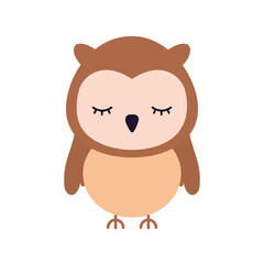 cute owl on a white background
