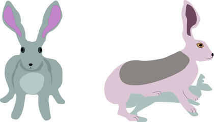 two hares boy and girl cartoons