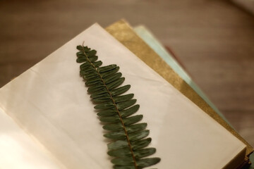 Pressed fern leaf and stack of beautiful vintage books on the table. Selective focus.