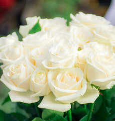 Obraz premium Lush white roses. Wedding bridal bouquet. Flowers for beloved