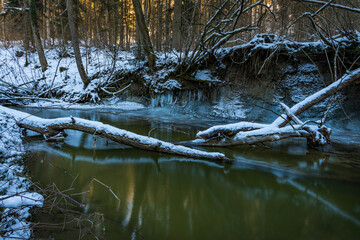 Along the icy Rotachtobel in winter