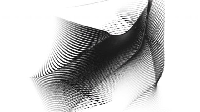 Abstract 3d wave pattern flowing black shapes on white background loop.