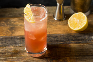 Refreshing Cold Sloe Gin Fizz Cocktail