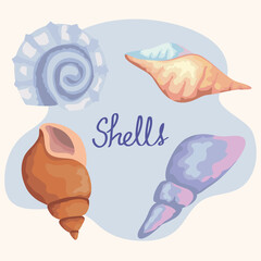 bundle of four sea shells colors set icons and lettering vector illustration design