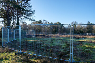 Fenuary 2021, Devils Punch Bowl, Hindhead.