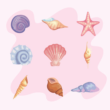 bundle of nine sea shells colors set icons vector illustration design