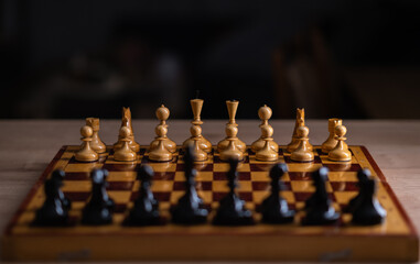 chess pieces on the chessboard