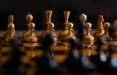 chess pieces on the chessboard