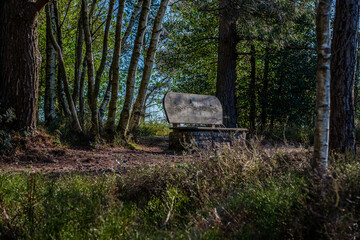 Febuary 2021 Hindhead Common,