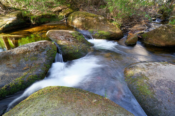 der Fluss kalte Bode im Nationalpark Harz bei Schierke