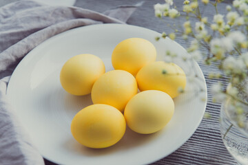 Colored yellow eggs on easter, decorated gypsophila flowers on gray cloth background