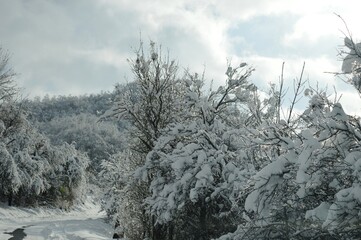 mountain road in the snow in winter