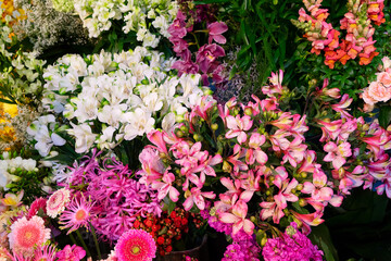 Natural flower background