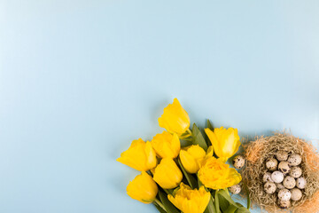 Easter composition quail eggs in a nest and yellow tulips. Happy Easter.