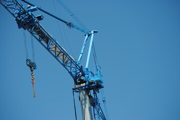 Grue bleue et ciel bleu