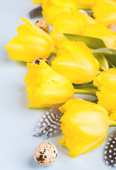 Easter composition quail eggs and yellow tulips .Happy Easter